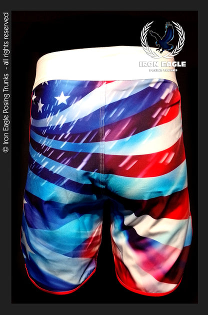 - The Patriot -